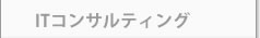 ITコンサルティング